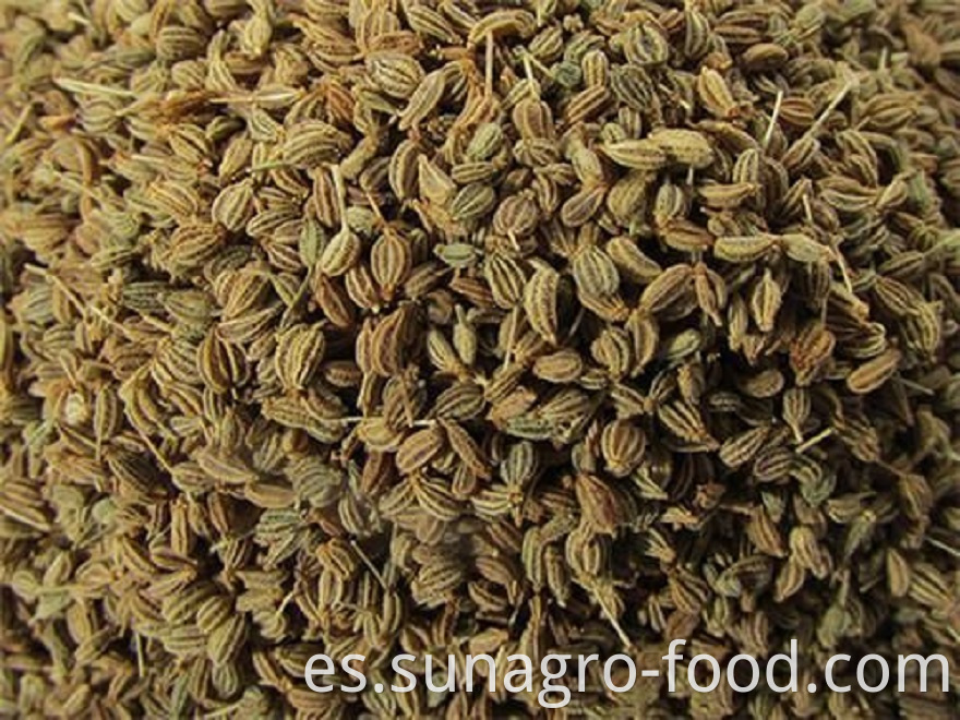 Pollution-Free Natural Dried Fennel